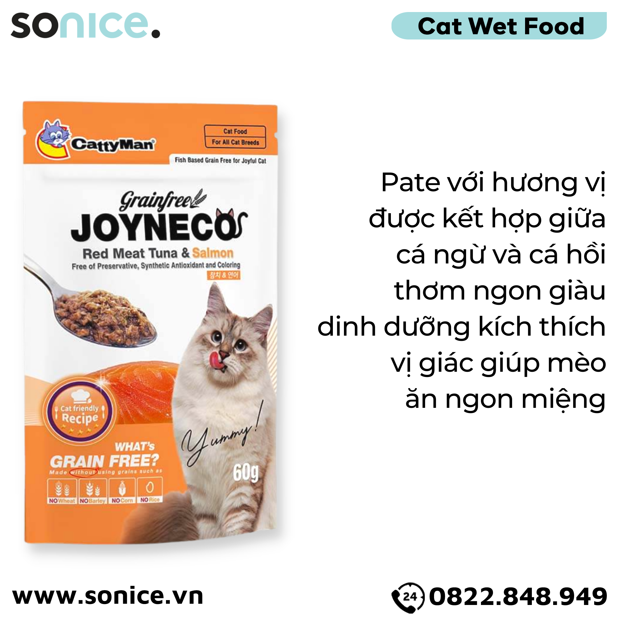  Pate mèo JOYNECO vị Cá Ngừ & Cá Hồi 60g - hộp 12 gói SONICE. 