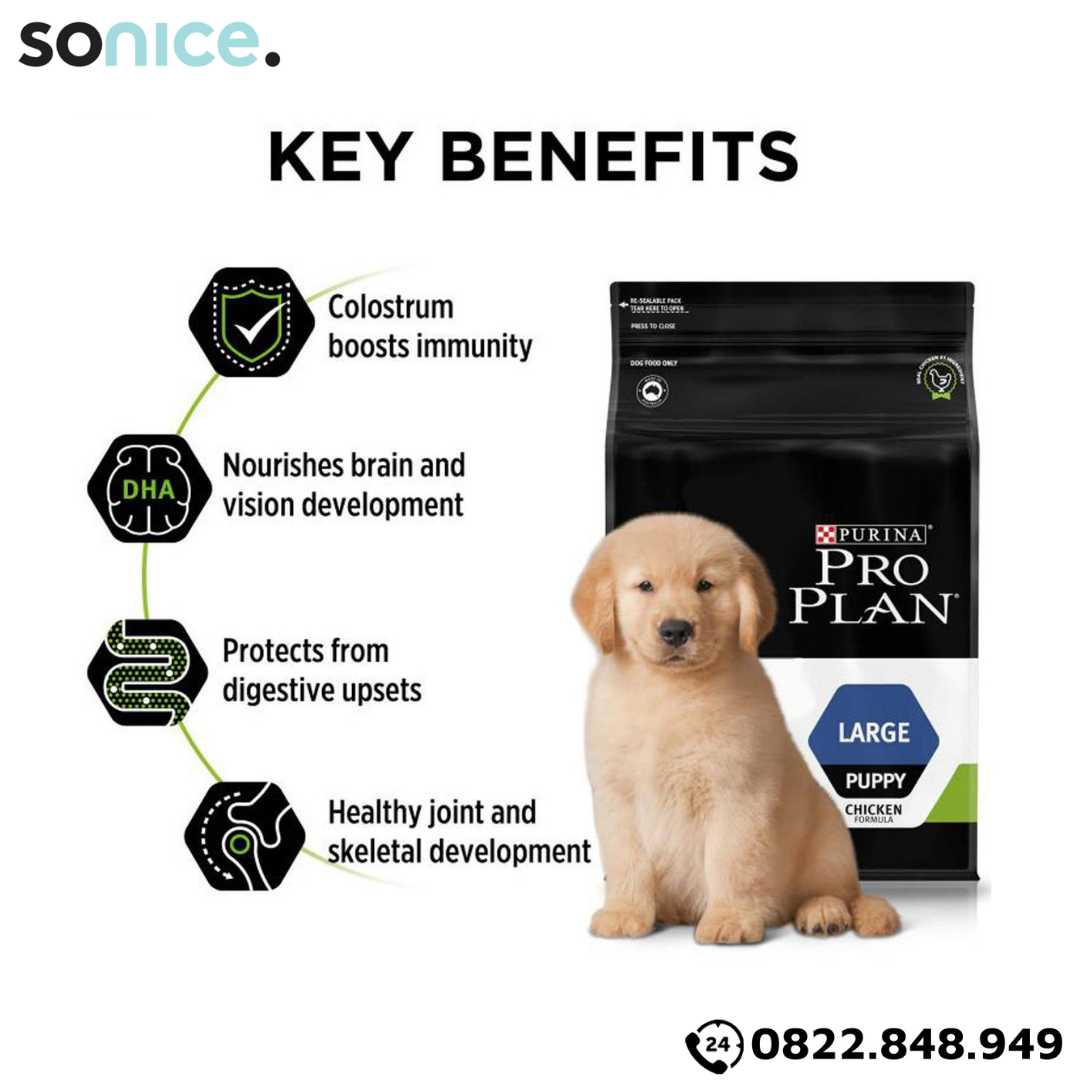  Thức ăn chó Purina PRO PLAN Large Puppy Chicken 2.5kg - chó con giống lớn vị gà SONICE. 