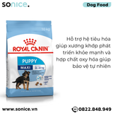  Thức ăn Chó Royal Canin MAXI PUPPY 10kg SONICE. 