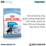  Thức ăn Chó Royal Canin MAXI PUPPY 4kg SONICE. 