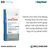  Thức ăn chó Royal Canin Maxi Starter Mother & BabyDog 15kg - Chó mẹ mang thai & chó con < 2 tháng SONICE. 