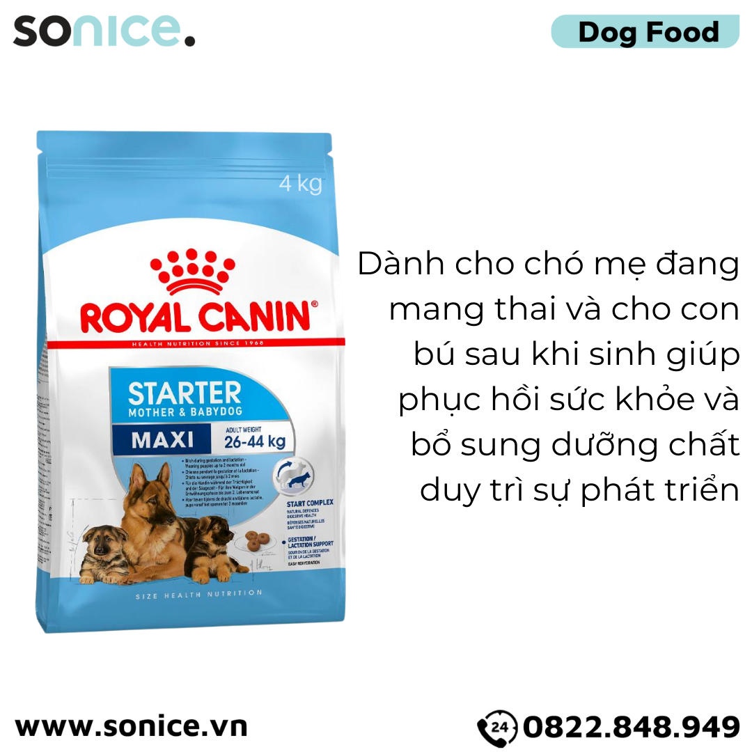  Thức ăn chó Royal Canin Maxi Starter Mother & BabyDog 4kg - Chó mẹ mang thai & chó con < 2 tháng SONICE. 