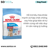  Thức ăn Chó Royal Canin MEDIUM PUPPY 10kg SONICE. 