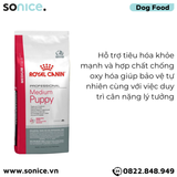  Thức ăn Chó Royal Canin MEDIUM PUPPY 16kg SONICE. 