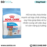  Thức ăn Chó Royal Canin MEDIUM PUPPY 4kg SONICE. 