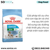  Thức ăn chó Royal Canin Mini Starter Mother & BabyDog 3kg - Chó mẹ mang thai & chó con < 2 tháng SONICE. 