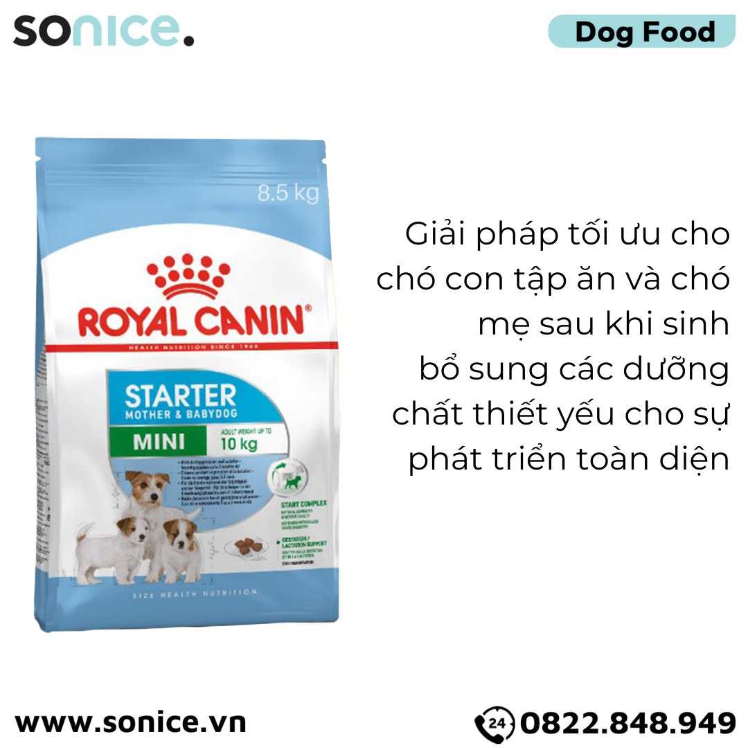  Thức ăn chó Royal Canin Mini Starter Mother & BabyDog 8.5kg - Chó mẹ mang thai & chó con < 2 tháng SONICE. 