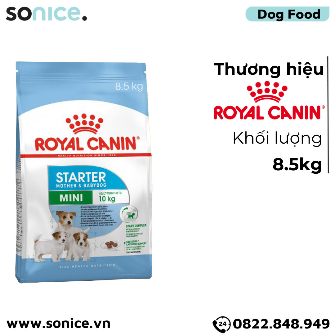  Thức ăn chó Royal Canin Mini Starter Mother & BabyDog 8.5kg - Chó mẹ mang thai & chó con < 2 tháng SONICE. 