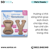  Combo 2 xương gặm Benebone Puppy Bacon cho chó con vị thịt xông khói - nhập USA SONICE. 