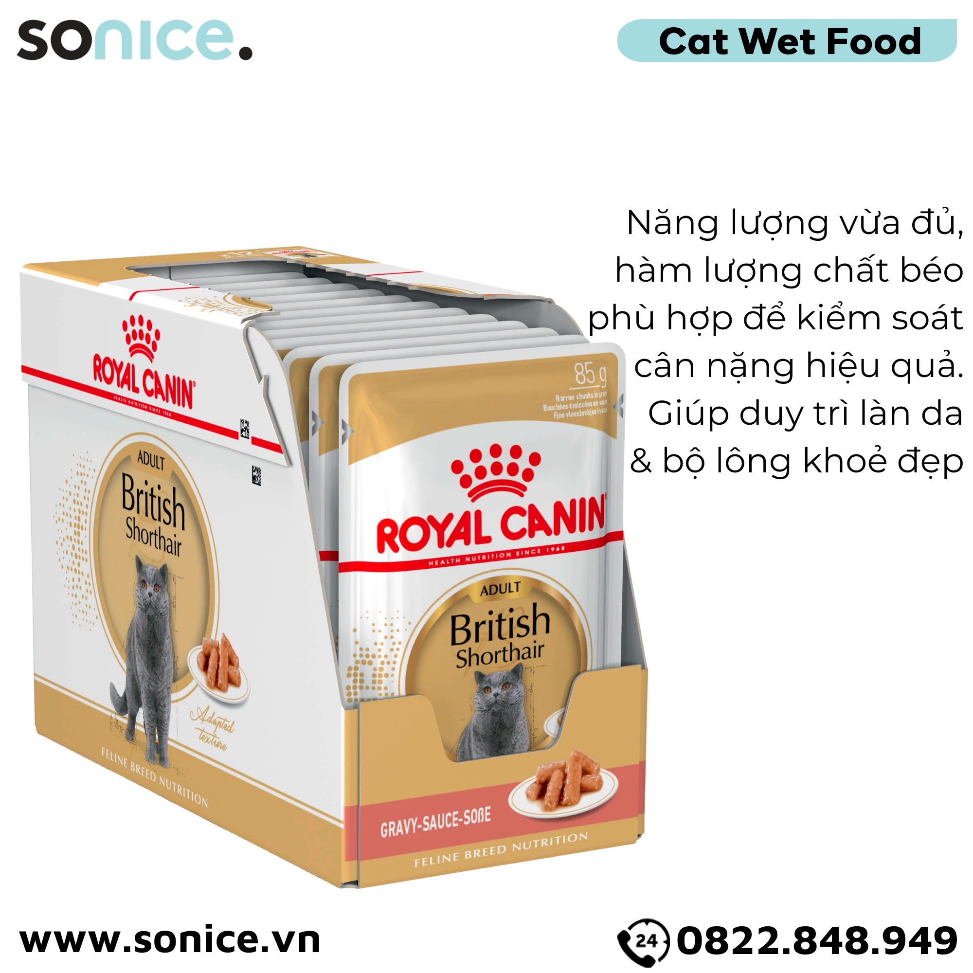  Pate mèo Royal Canin British Adult Gravy 85g - Hộp 12 gói SONICE. 