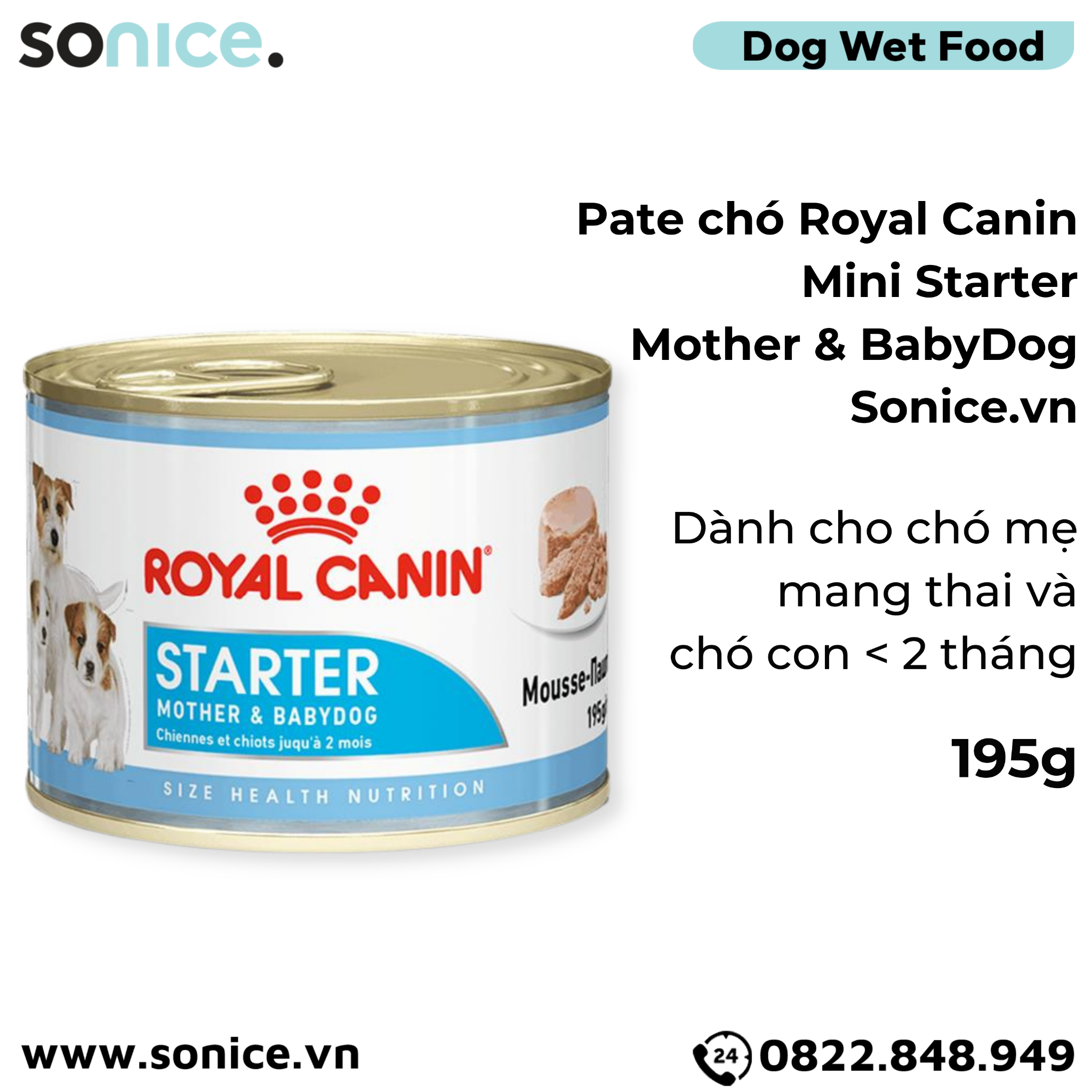  Pate chó Royal Canin Mini Starter Mother & BabyDog 195g - Chó mẹ mang thai & chó con < 2 tháng SONICE. 