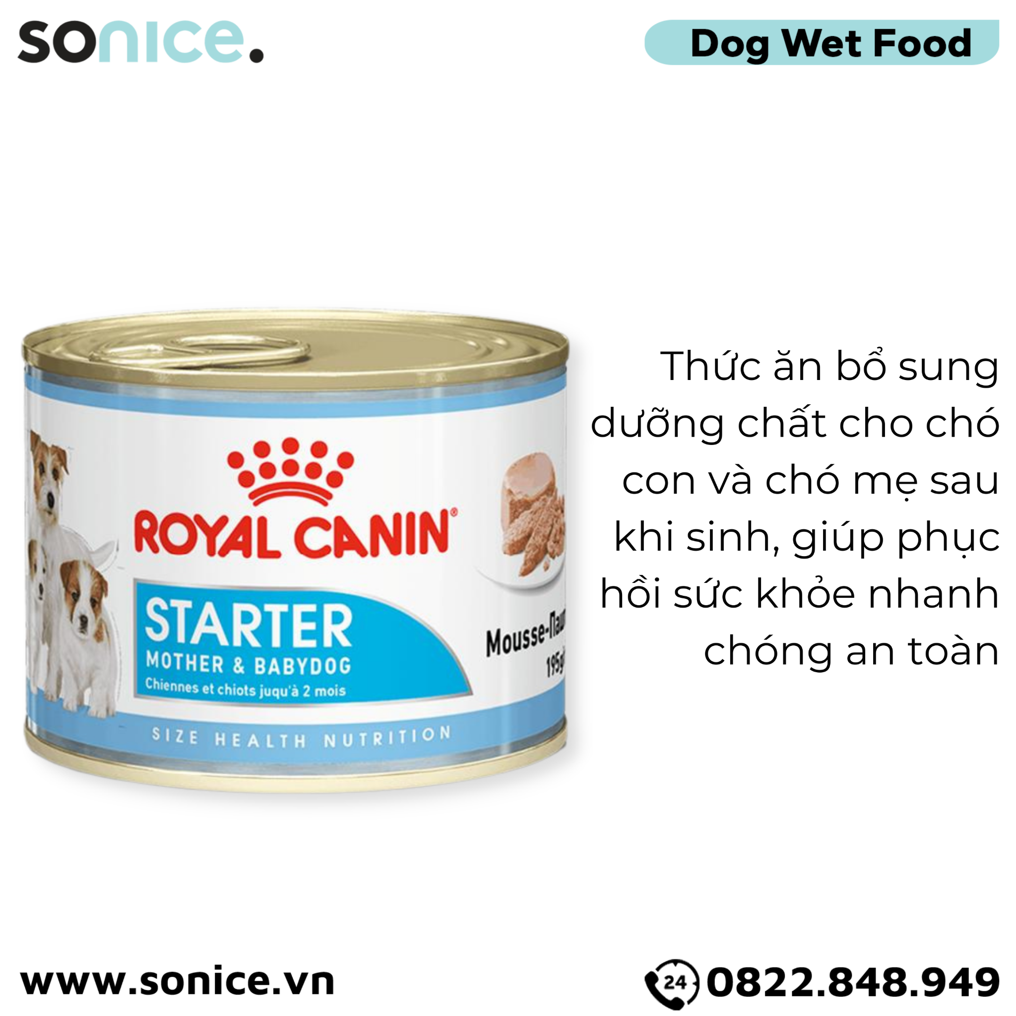  Pate chó Royal Canin Mini Starter Mother & BabyDog 195g - Chó mẹ mang thai & chó con < 2 tháng SONICE. 