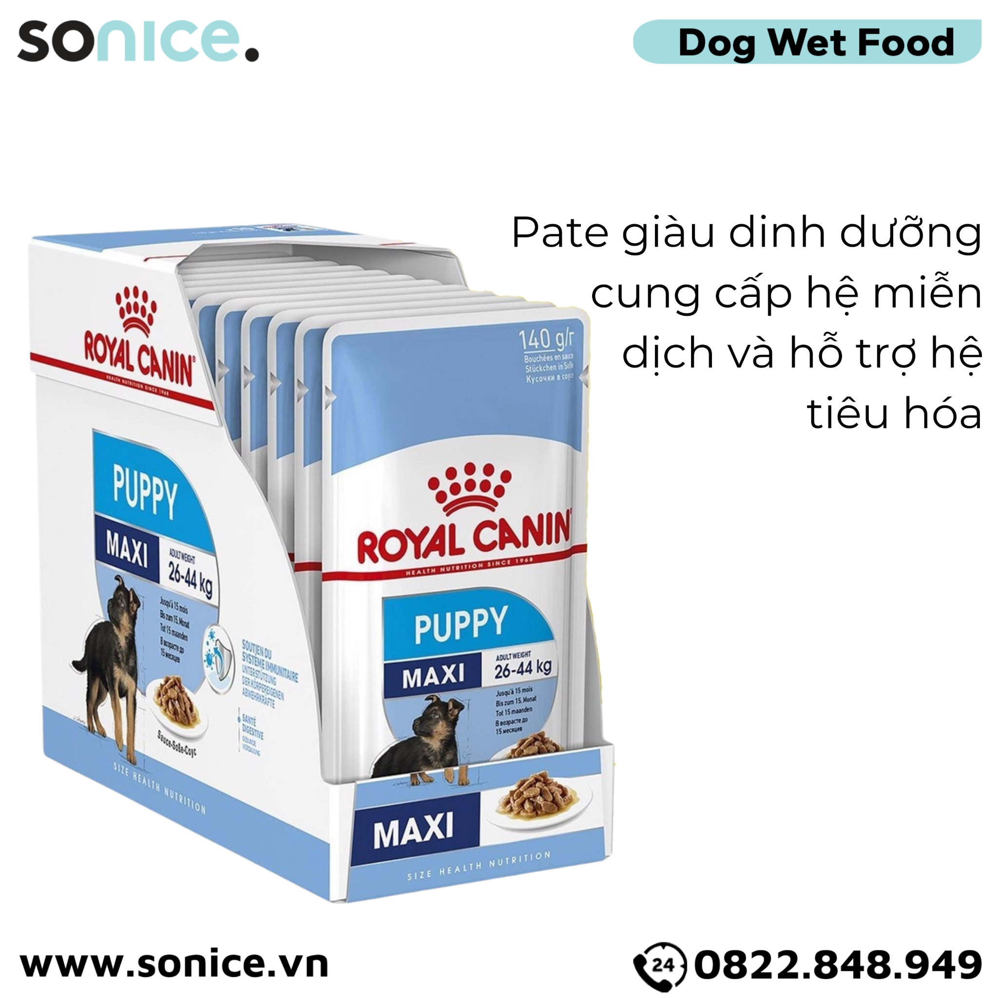  Pate chó Royal Canin Maxi Puppy - Gravy 1 hộp 10 gói SONICE. 