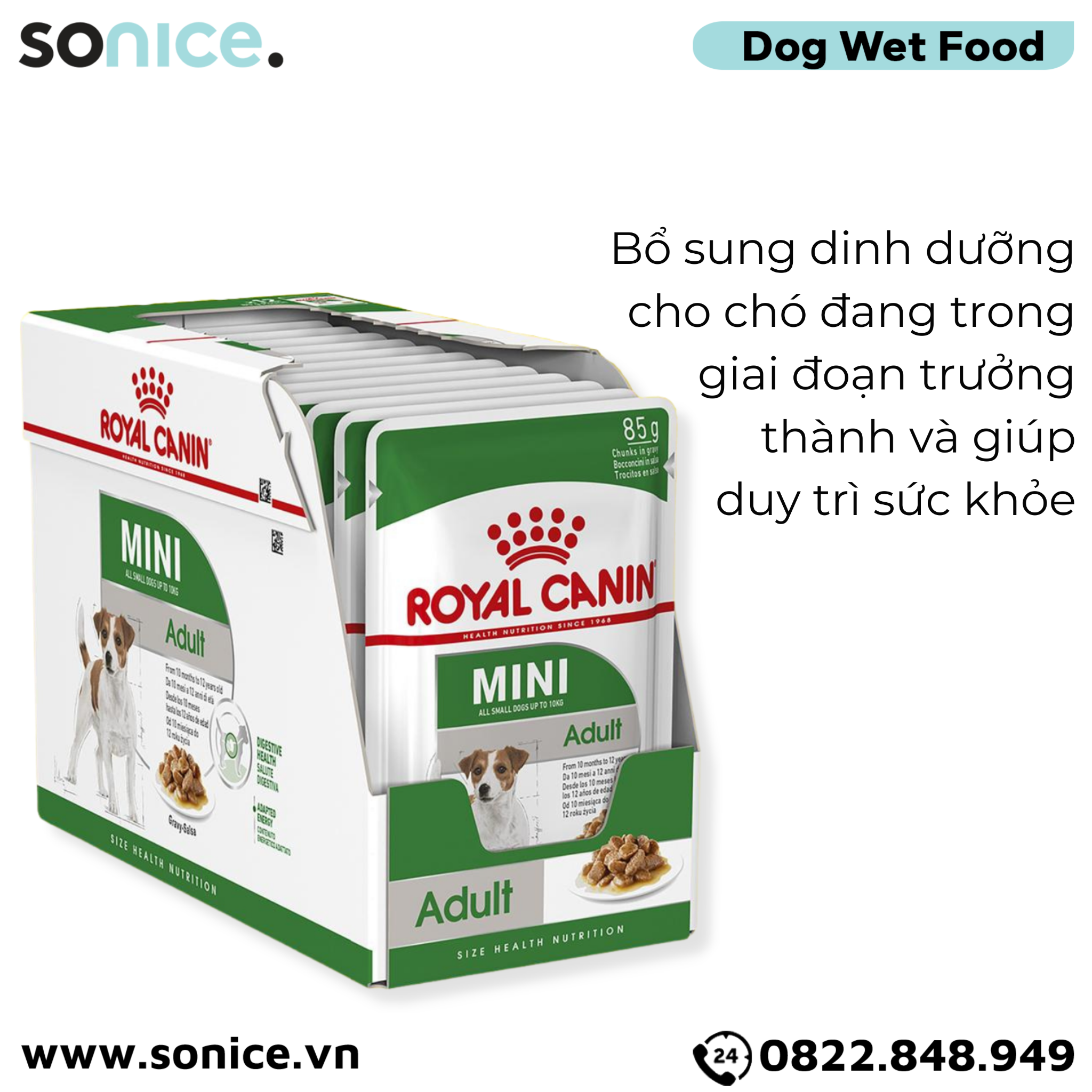  Pate chó Royal Canin Mini Adult Gravy 85g - hộp 12 gói SONICE. 