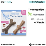  Combo 2 xương gặm Benebone Puppy Bacon & Maple Wood cho chó con vị thịt xông khói & gỗ cây phong SONICE. 