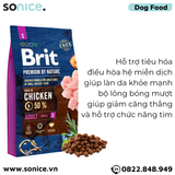  Thức ăn chó Brit Premium by Nature Small Adult Chicken 3kg - Dành cho chó trưởng thành giống nhỏ vị Gà SONICE. 