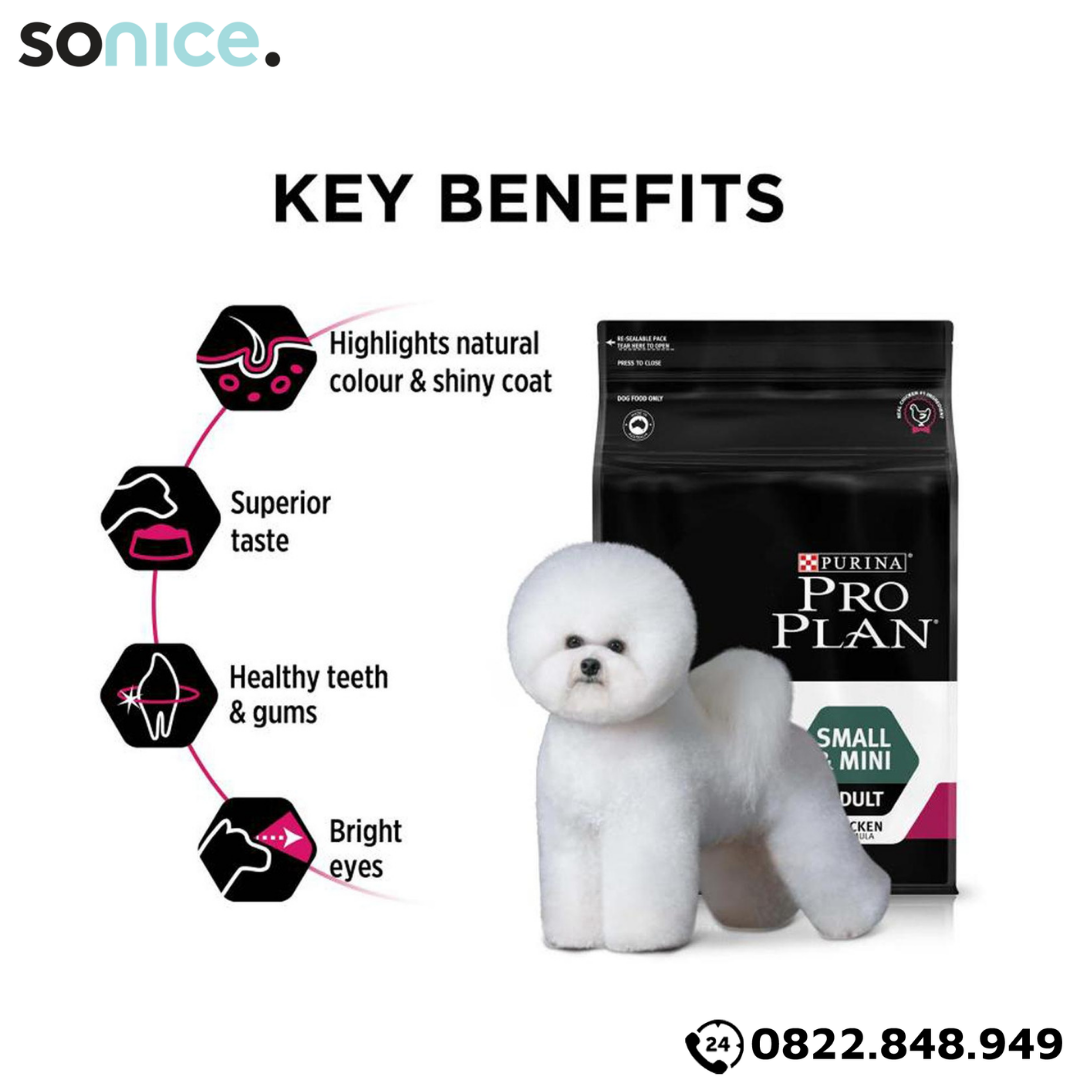  Thức ăn chó Purina PRO PLAN Small Mini Adult Fussy Beauty 2.5kg - chăm sóc da lông chó giống nhỏ SONICE. 