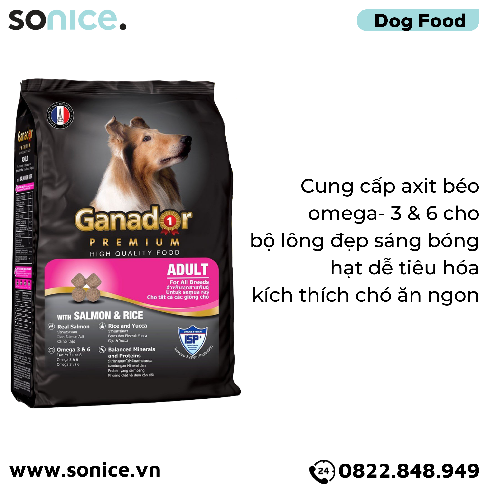  Thức ăn chó GANADOR Adult 20kg - Salmon & Rice SONICE. 