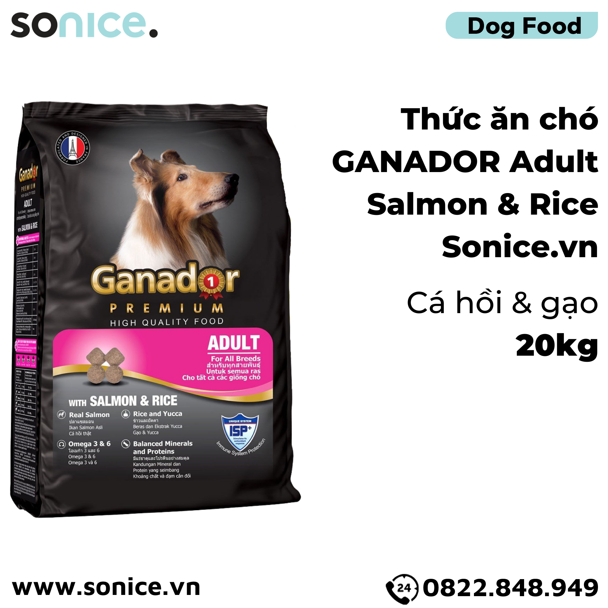  Thức ăn chó GANADOR Adult 20kg - Salmon & Rice SONICE. 
