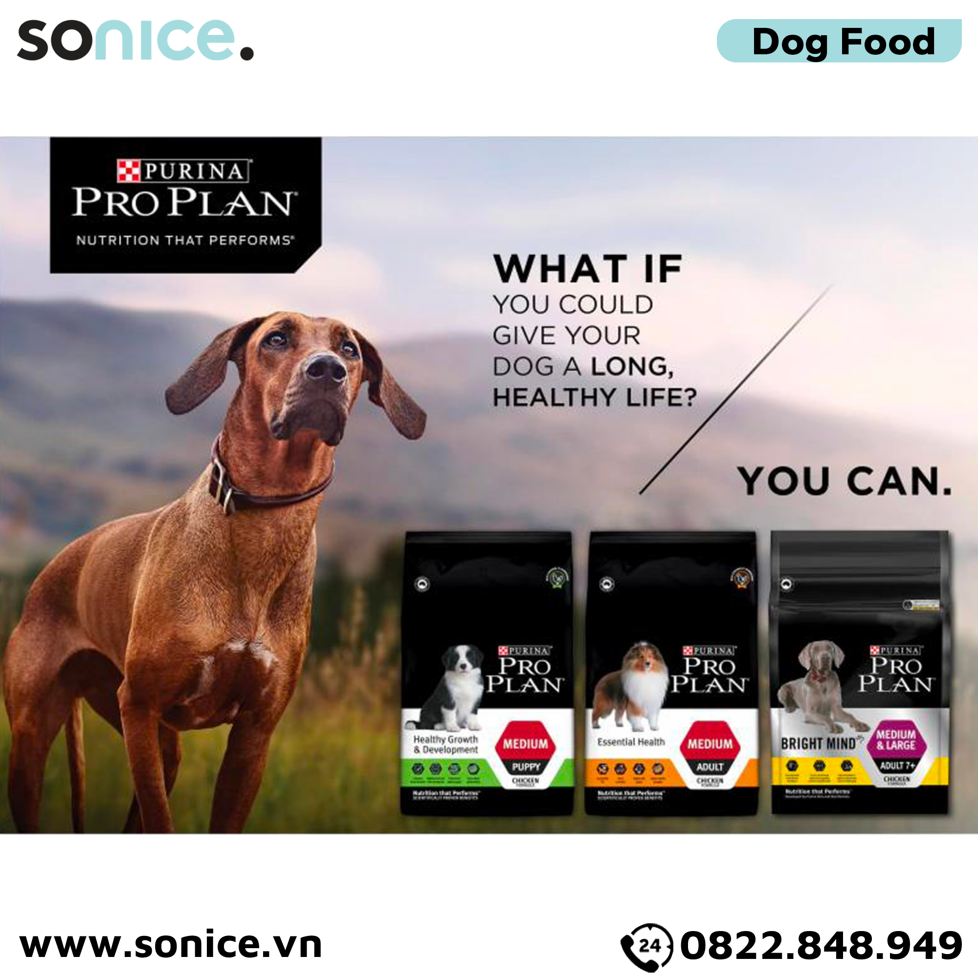  Thức ăn chó Purina PRO PLAN Medium Puppy Chicken 10kg - chó con giống vừa vị gà SONICE. 