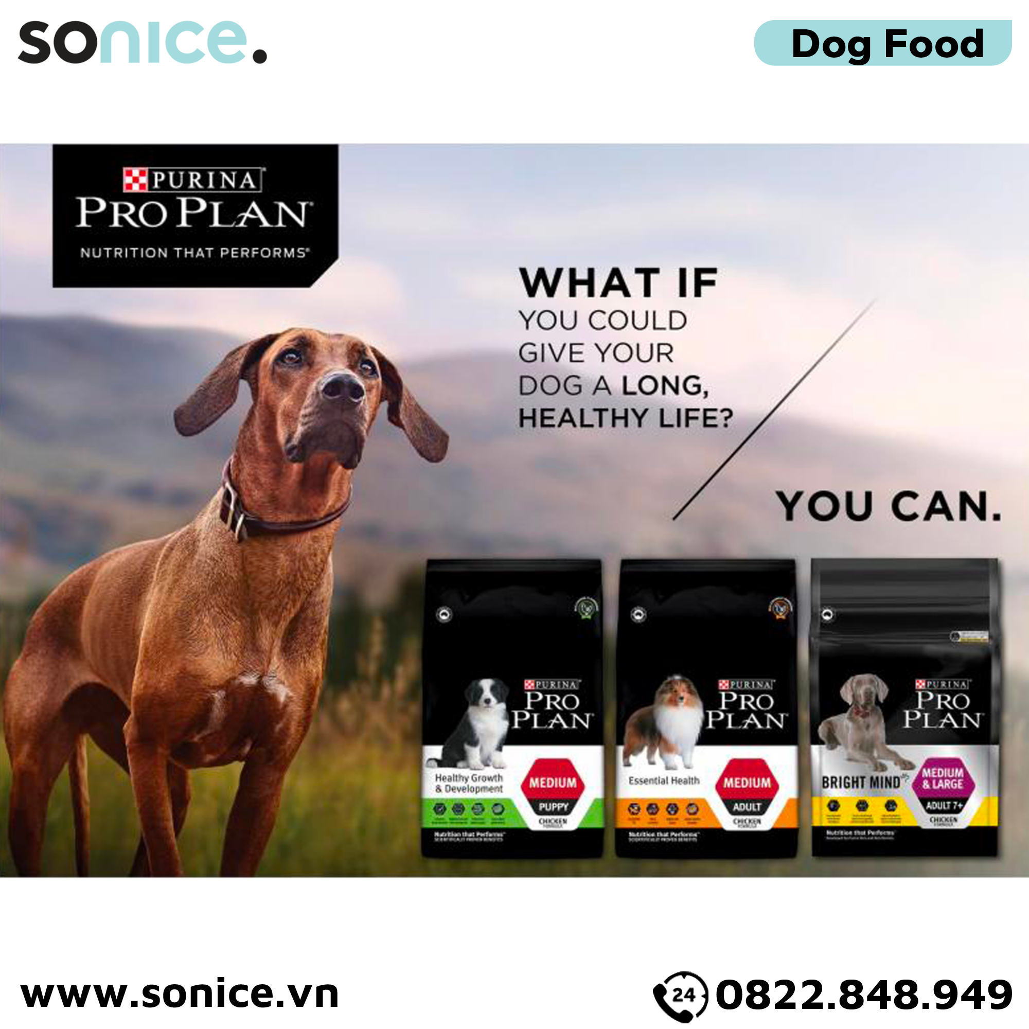  Thức ăn chó Purina PRO PLAN Medium Puppy Chicken 2.5kg - chó con giống vừa vị gà SONICE. 