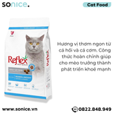  Thức ăn mèo Reflex Salmon & Anchovy Adult 6kg - Dành cho mèo trưởng thành, vị cá hồi và cá cơm SONICE. 