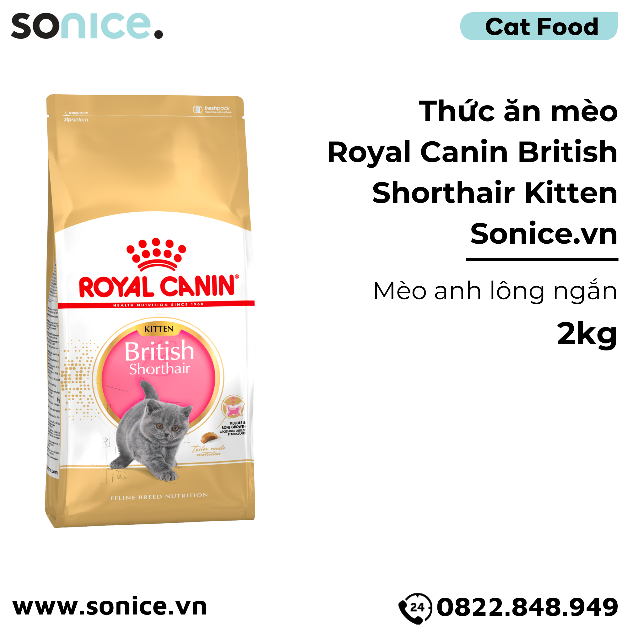  Thức ăn mèo Royal Canin British Shorthair Kitten 2kg - mèo Anh lông ngắn SONICE. 