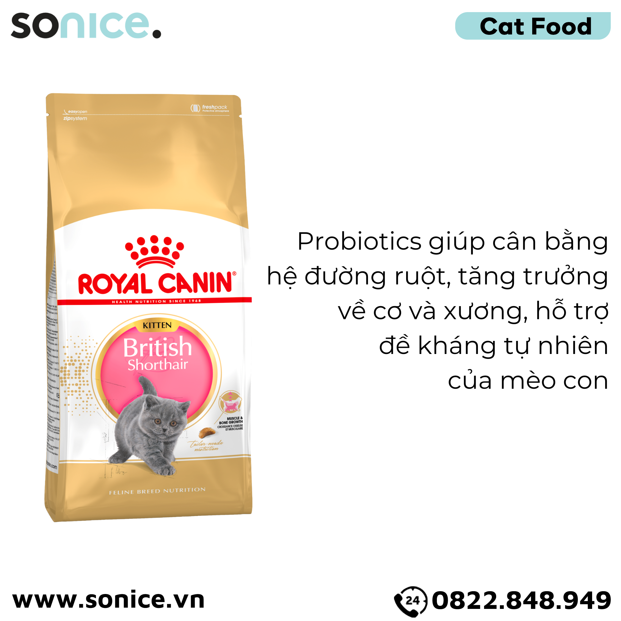  Thức ăn mèo Royal Canin British Shorthair Kitten 2kg - mèo Anh lông ngắn SONICE. 
