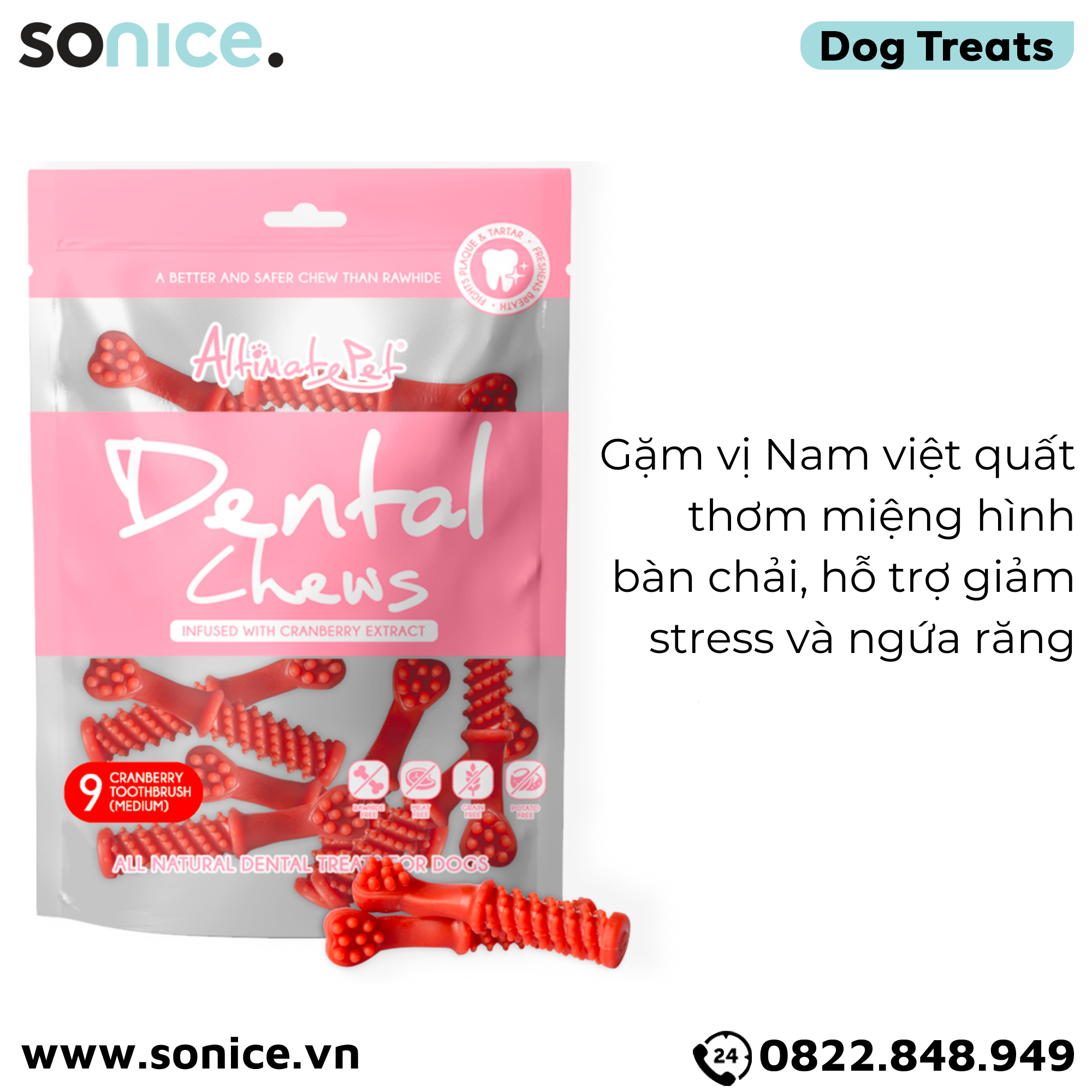  Xương gặm thơm miệng Dental Chews Toothbrush size Medium 150g - 9 cranberry - Bàn chải vị Nam việt quất SONICE. 