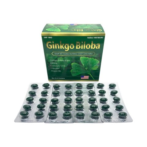 Ginkgo biloba 240 (xanh lá đậm) giảm thiểu năng tuần hoàn não