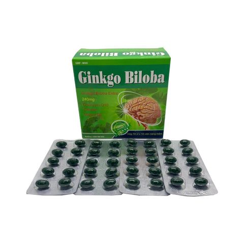 Ginkgo biloba 240 (xanh lá nhạt) giảm thiểu năng tuần hoàn não