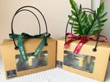  Set 6 hũ Yến Tươi Chưng Nóng - size 75ml 