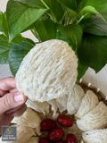  Yến Tinh Chế Sợi Dài - Hộp 50gr 