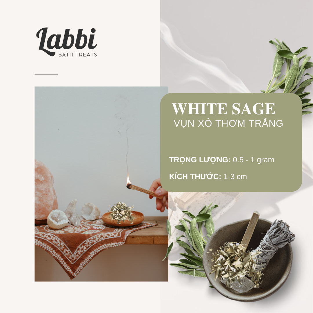 [Labbi] Vụn xô thơm trắng (White sage) - thanh lọc không gian – Labbi ...