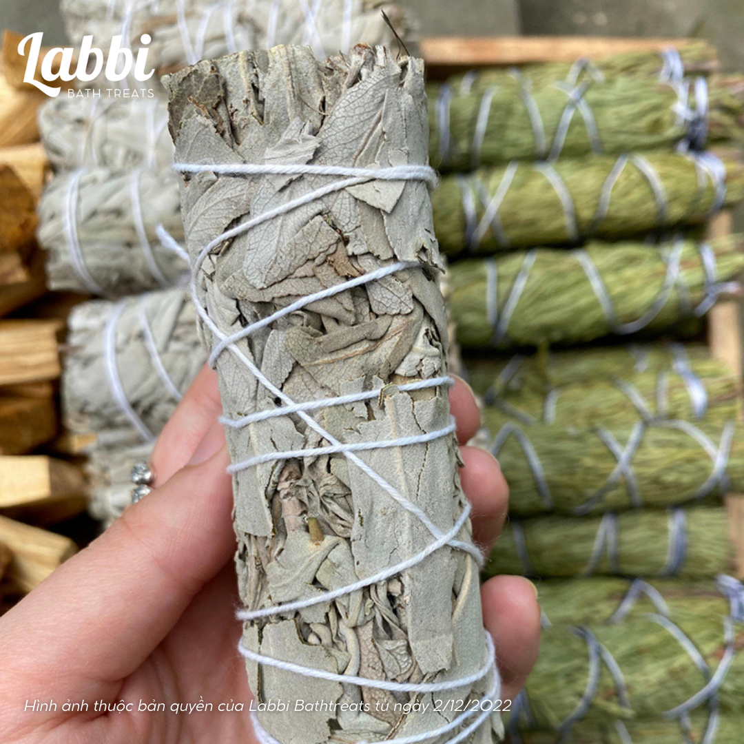 [Labbi] Xô thơm trắng (White sage) 10cm thanh lọc không gian – Labbi ...