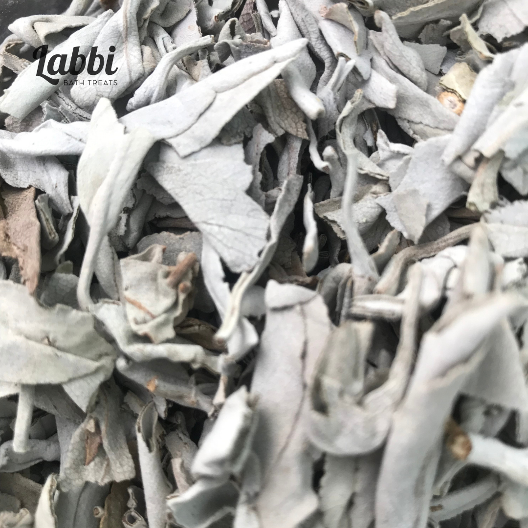 [Labbi] Vụn xô thơm trắng (White sage) - thanh lọc không gian – Labbi ...