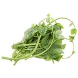  Rau Mồng Tơi (Túi 400G-500G) 