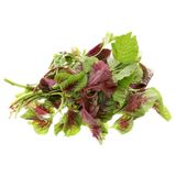  Rau Dền (Túi 400G-500G) 