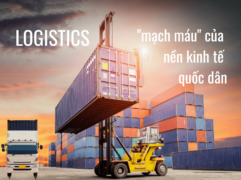 NGÀNH LOGISTICS TẠI SAIGONACT - NGÀNH HỌC CỦA NỀN KINH TẾ PHÁT TRIỂN