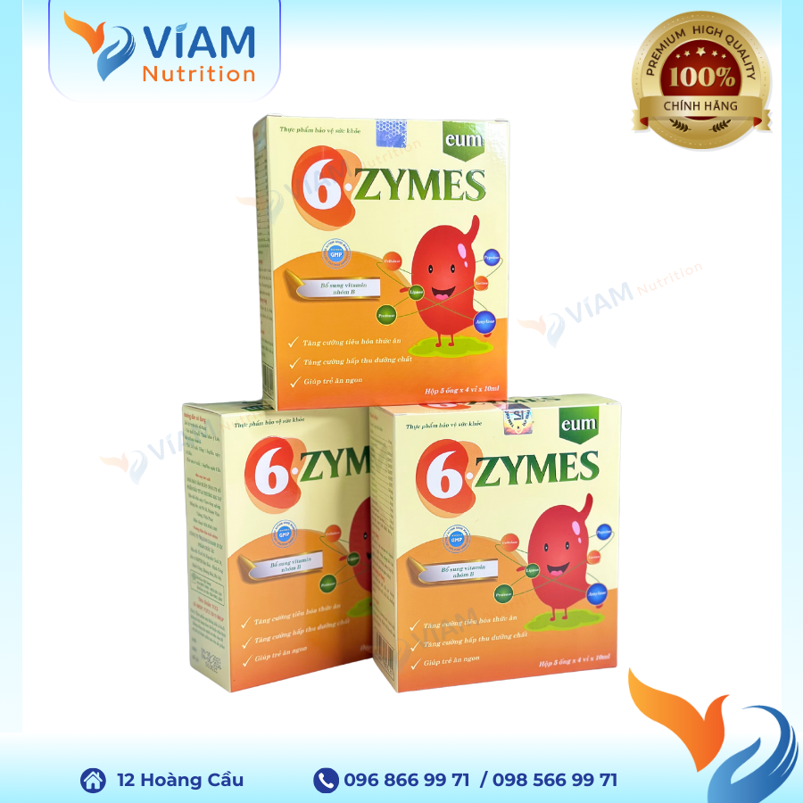  6 ZYMES - Tăng cường hấp thu 