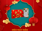  Mèo May Mắn - Túi Ivory đỏ 1 lọ (hũ) 200g BÒ MIẾNG 