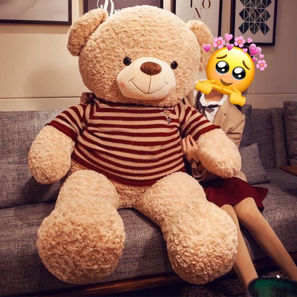 Gấu bông Teddy Choco to bự khổng lồ (100cm, 1m1, 1m3, 1m7, 1m9)