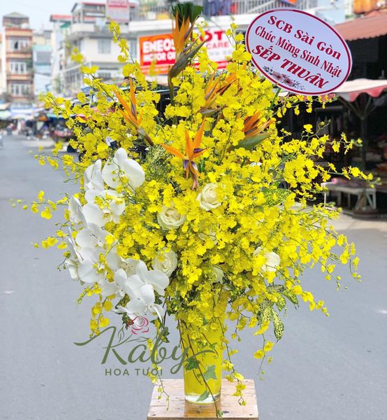 BÌNH HOA LAN VŨ NỮ