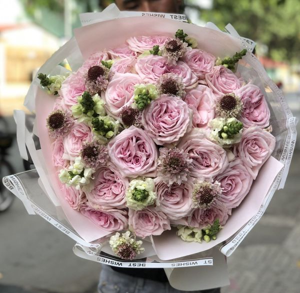 Bó Hoa 25 bông hồng ohara