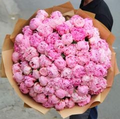 Bó Hoa 80 Bông Mẫu Đơn Sara Hồng Nhập Khẩu Hà Lan