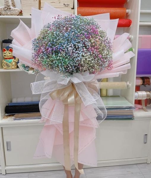 Bó Hoa baby 7 màu dễ thương