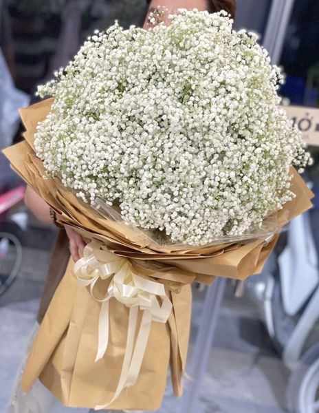 Bó Hoa Baby Trắng Hình Que Kem MẪU 1
