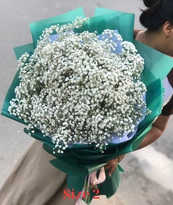 Bó Hoa Baby Trắng