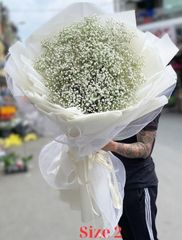 Bó Hoa Baby Trắng