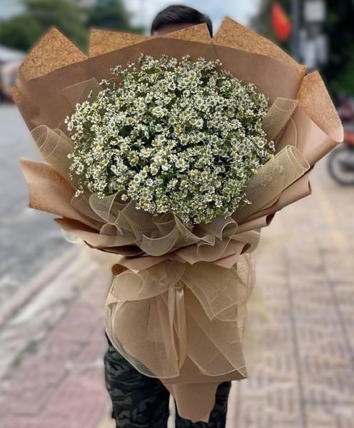 BÓ HOA CÚC TANA ĐẸP